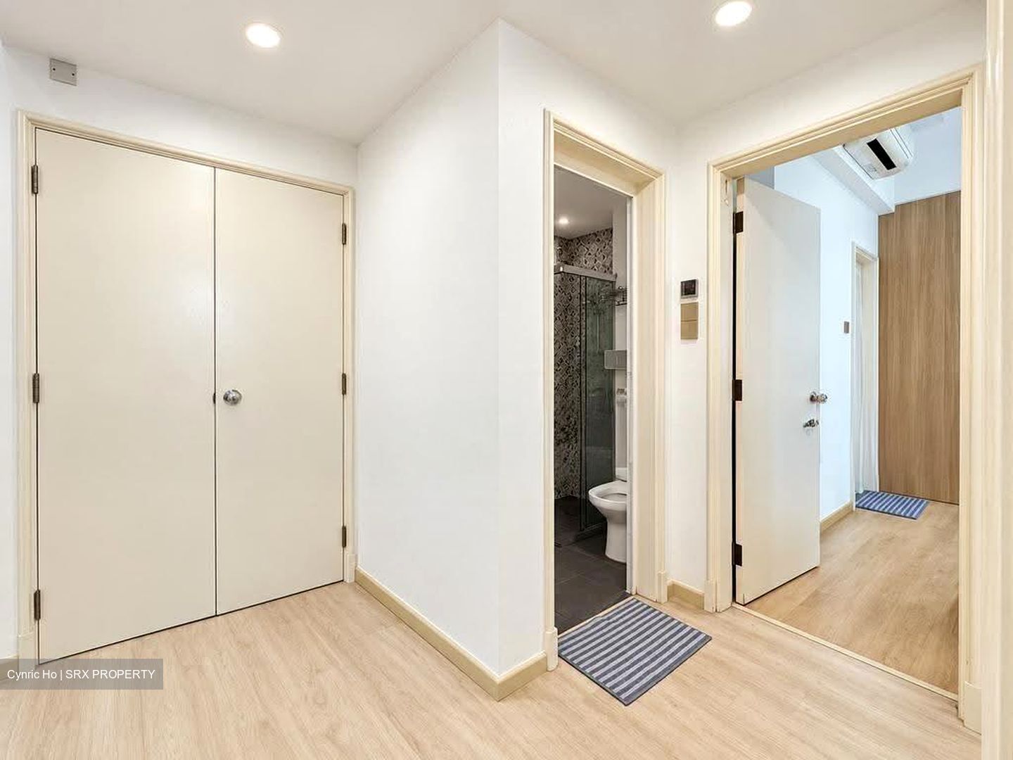 Springdale Condominium (D21), Condominium #636221281